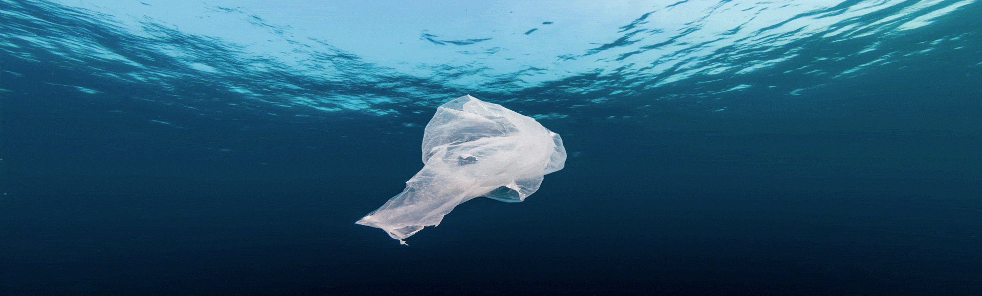 Collecte des déchets marins sur les littoraux par bateau depollueur