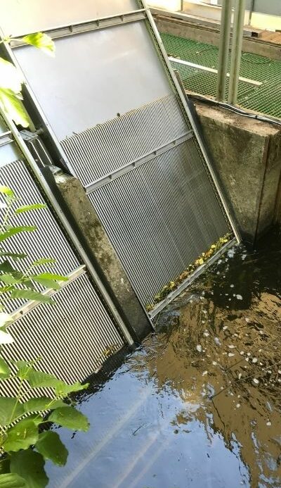 Fournisseur de dégrilleurs pour le traitement des eaux usées