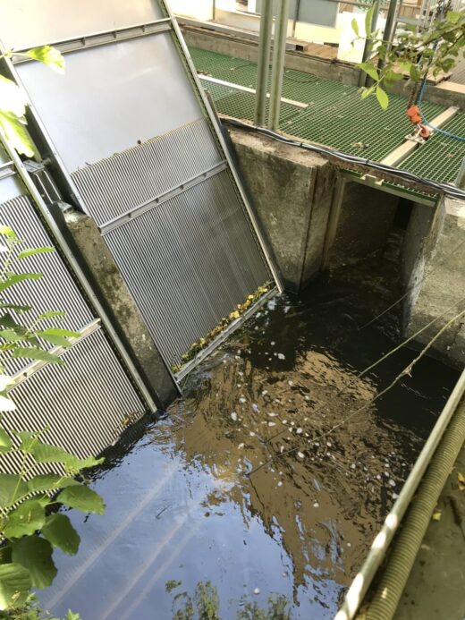 Comment&#x20;les&#x20;d&#x00E9;grilleurs&#x20;augmentent&#x20;la&#x20;dur&#x00E9;e&#x20;de&#x20;vie&#x20;des&#x20;&#x00E9;quipements&#x20;industriels&#x20;et&#x20;hydro&#x00E9;lectriques